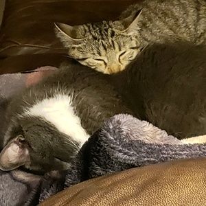 Meet your Posher, Cheryl